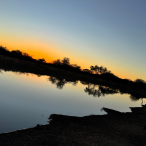 インスタと公式LINEの活用の違い