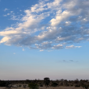 【完全ガイド】初心者のための公式LINEアカウント作成マニュアル